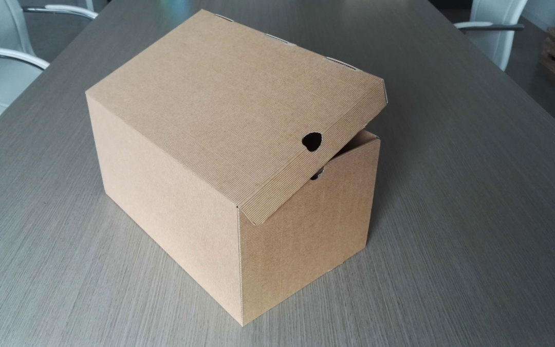 Cosa si intende per cartone fustellato?